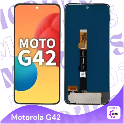 Modulo G42 oled