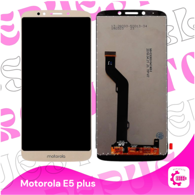 Modulo E5 plus dorado