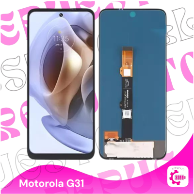 Modulo G31/G41/G71 oled