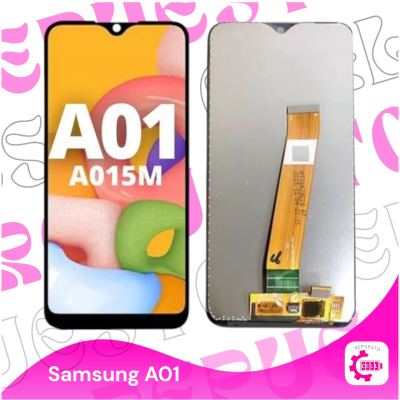 Modulo A01 oled