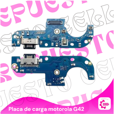 Placa de Carga G42