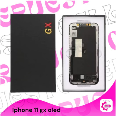 Modulo Xs oled Gx