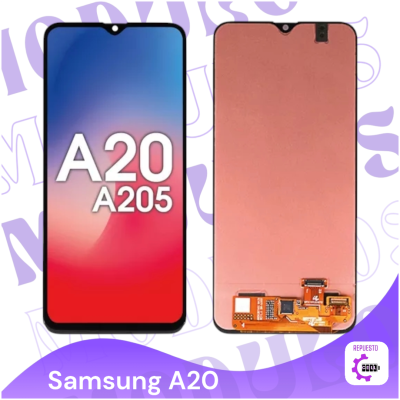 Modulo A20 oled