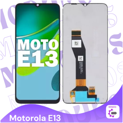 Modulo E13 oled