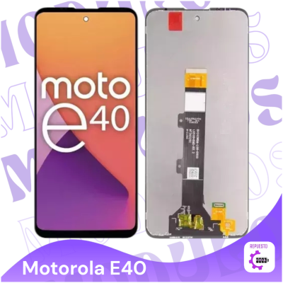 Modulo E40 oled