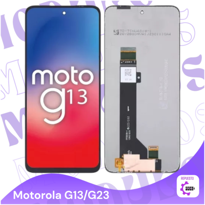 Modulo G13 oled