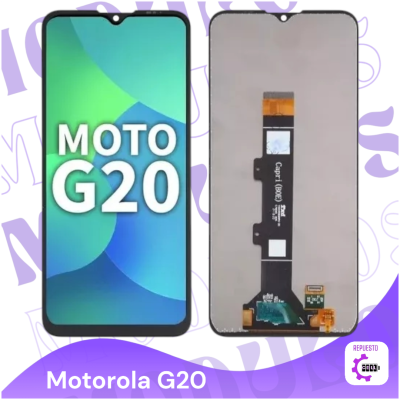Modulo G20 oled