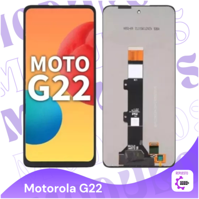 Modulo G22 oled