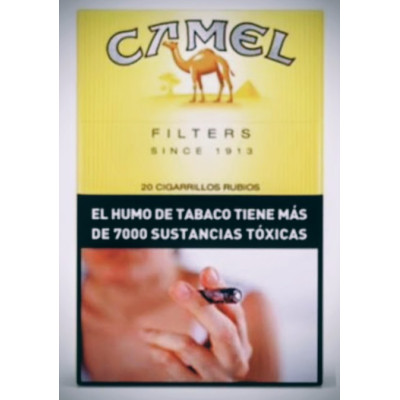 Camel box x 20