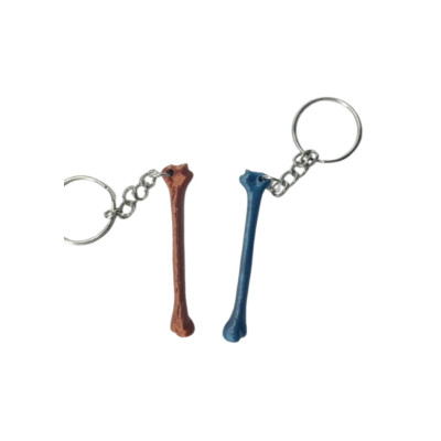 LLAVERO HUESO FEMUR