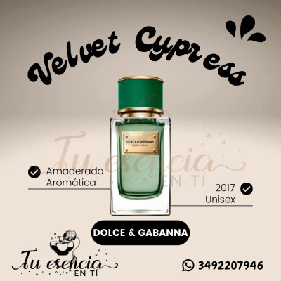 VELVET CYPRESS - Dolce &...
